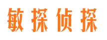 新平市调查公司